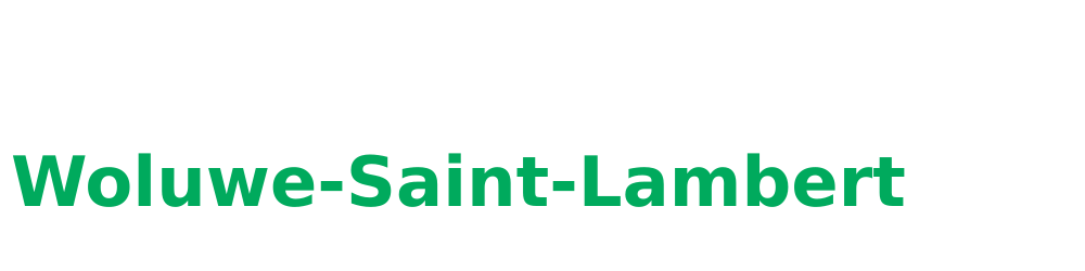 Serrurier Woluwe-Saint-Lambert Logo